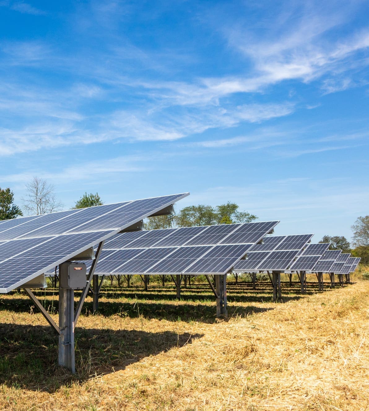 Gorgeous ground mount solar array agricultural land