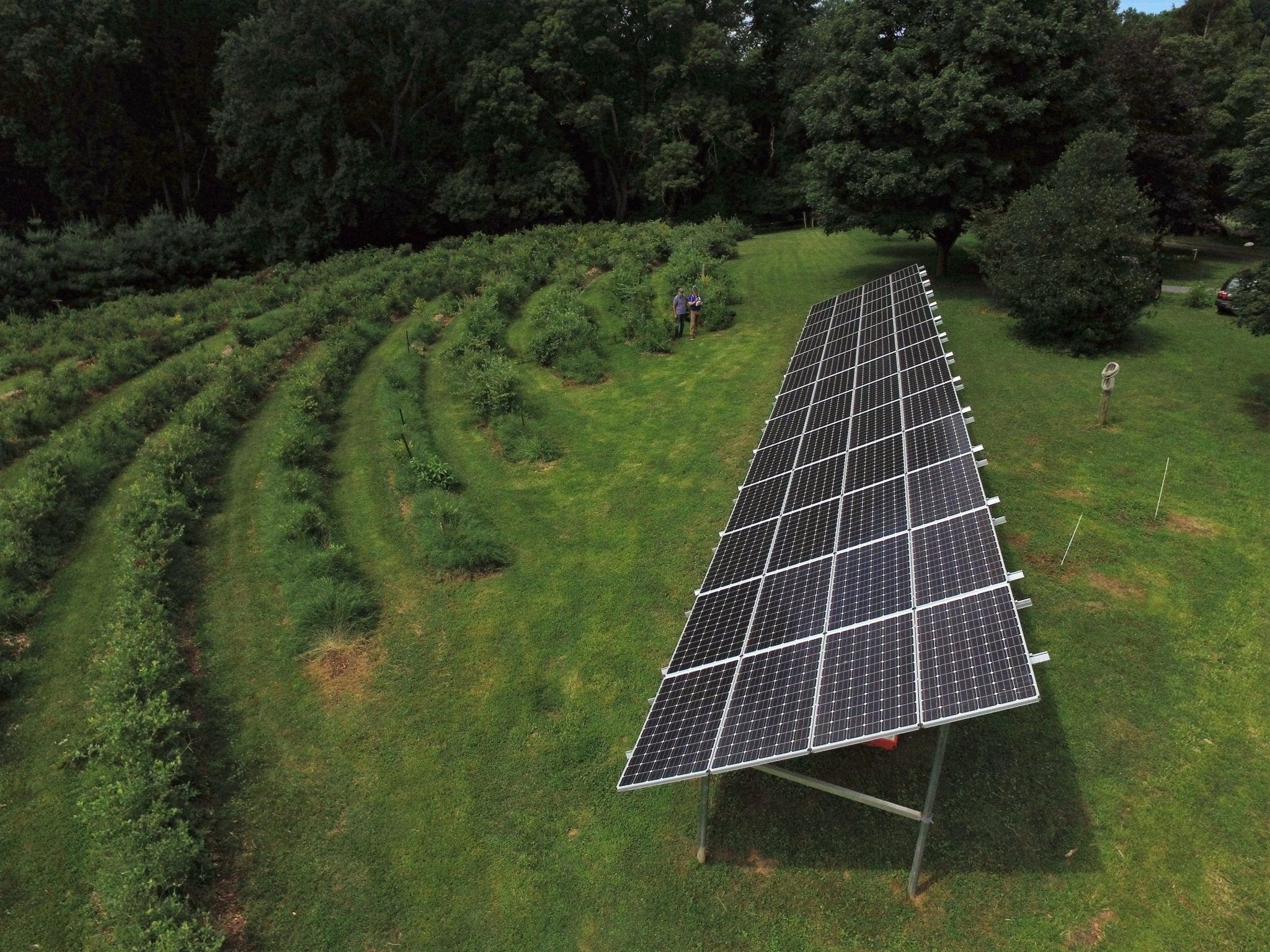 Solar array ground mount Virginia winery installed by Aurora Energy, Inc.
